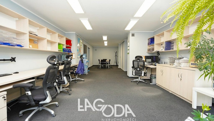 Lokal Sprzedaż Gorzów Wielkopolski Centrum