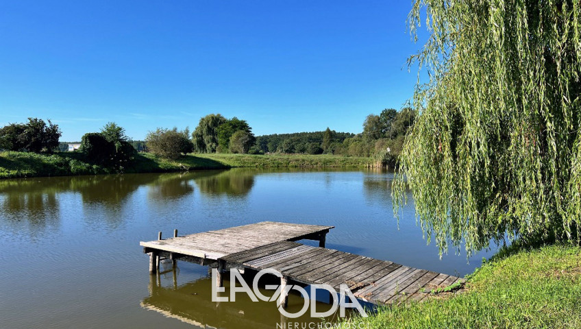 Dom Sprzedaż Rzepinek Sokola