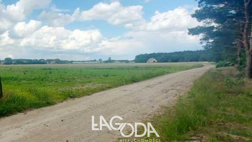 Działka Sprzedaż Dziersławice