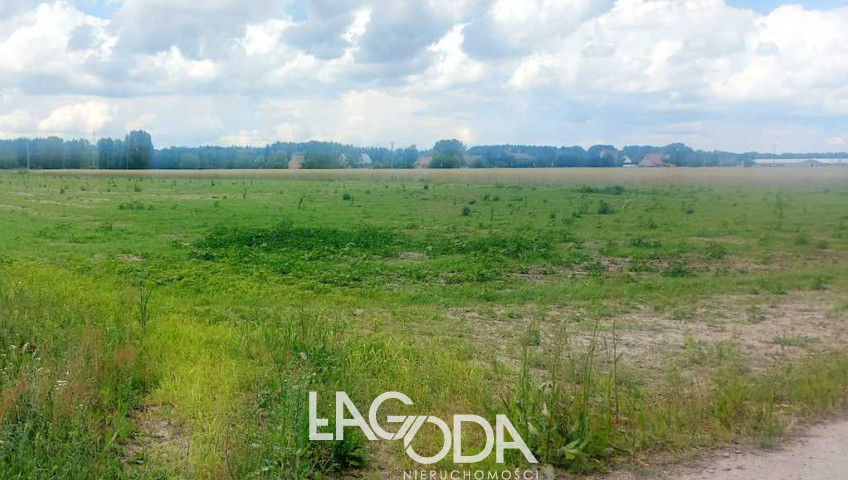 Działka Sprzedaż Dziersławice