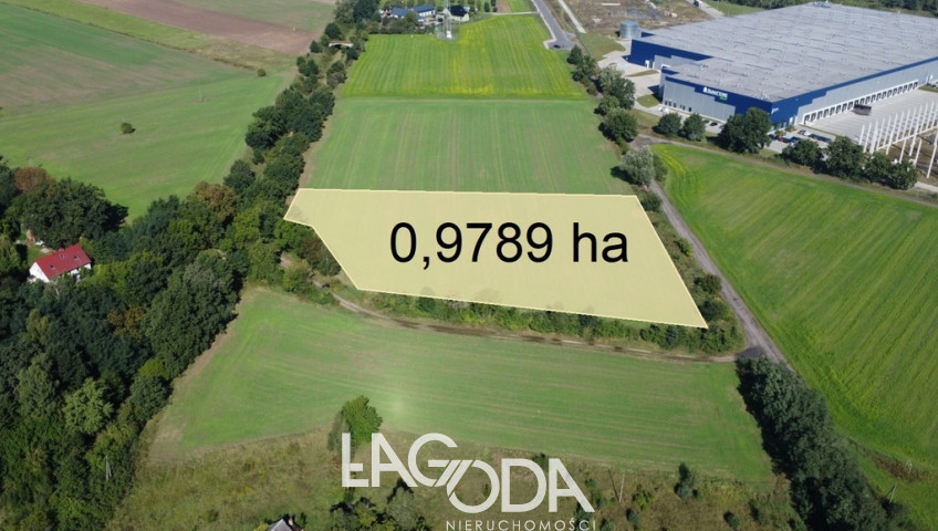 Działka Sprzedaż Gorzów Wielkopolski Chróścik