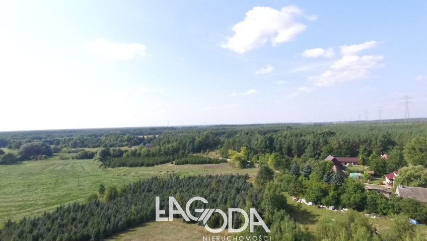 Działka Sprzedaż Kozin