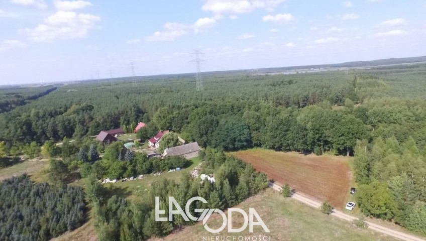Działka Sprzedaż Kozin