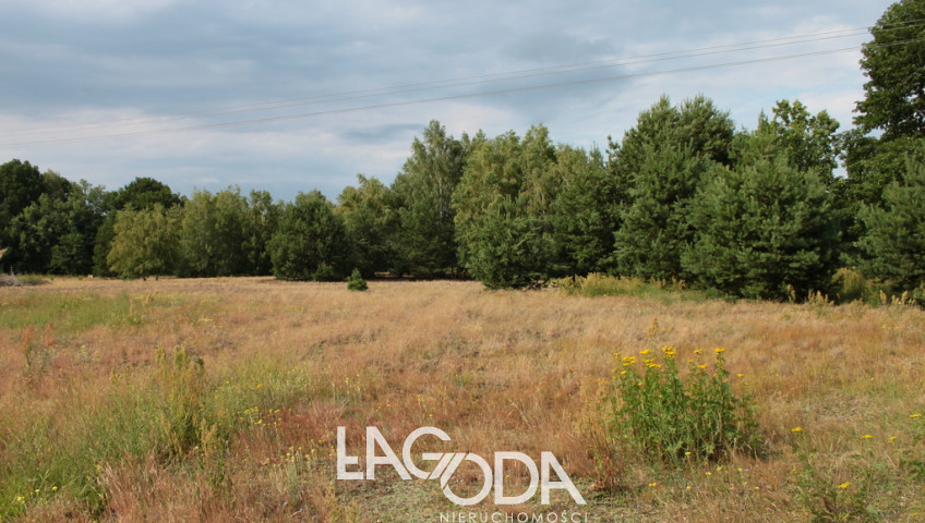 Działka Sprzedaż Baczyna