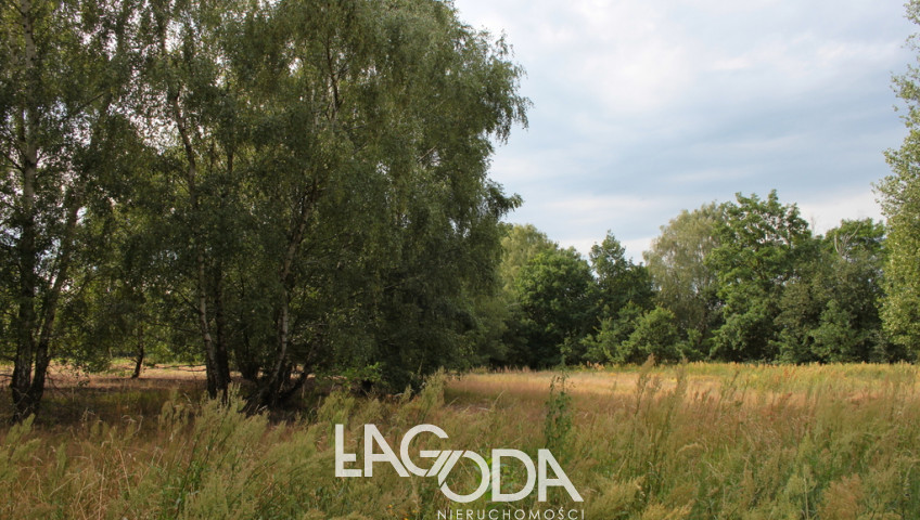 Działka Sprzedaż Baczyna
