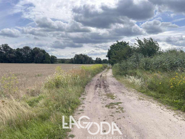 Działka Sprzedaż Gorzów Wielkopolski Zieleniec Niwicka