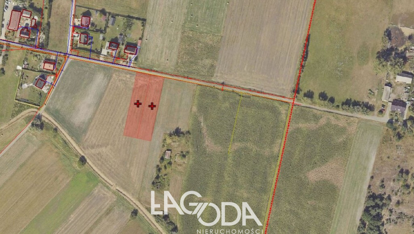 Działka Sprzedaż Gorzów Wielkopolski Siedlice Skrajna
