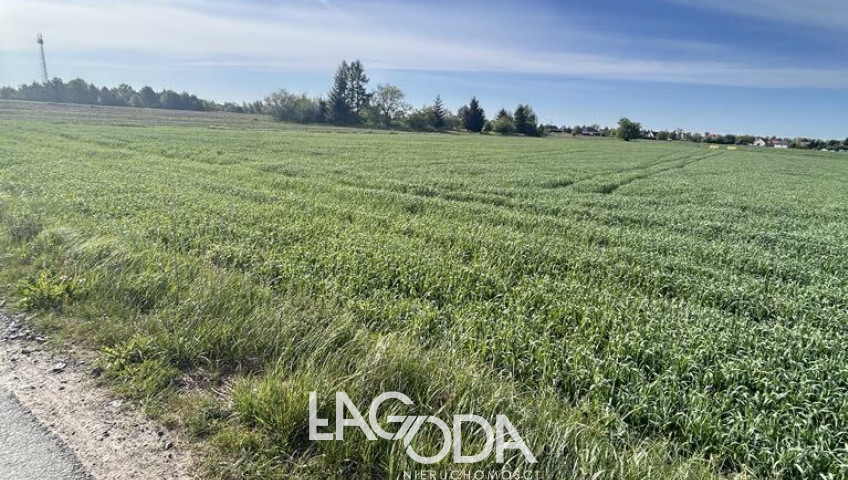 Działka Sprzedaż Gorzów Wielkopolski Siedlice Skrajna