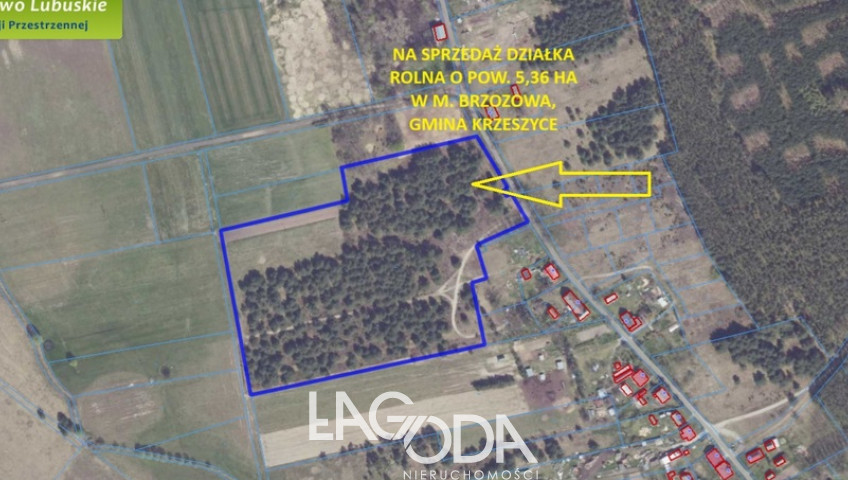 Działka Sprzedaż Brzozowa