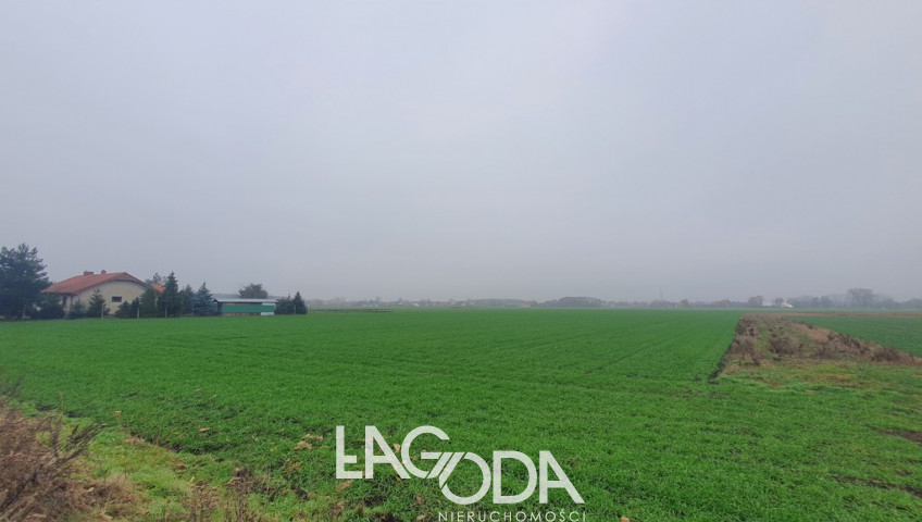 Działka Sprzedaż Gorzów Wielkopolski Siedlice Ziemiańska