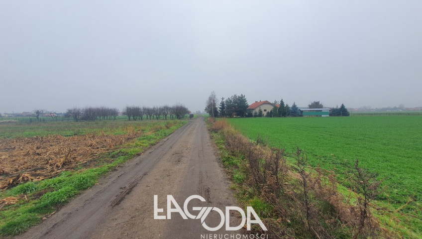 Działka Sprzedaż Gorzów Wielkopolski Siedlice Ziemiańska
