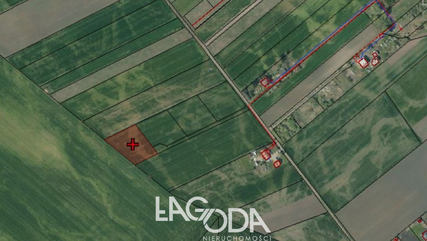 Działka Sprzedaż Gorzów Wielkopolski Siedlice Ziemiańska