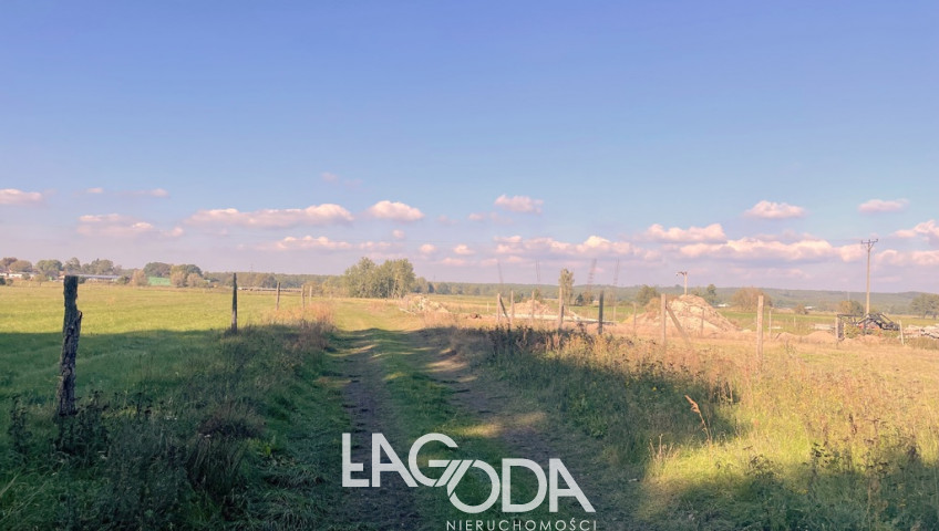 Działka Sprzedaż Pyrzany