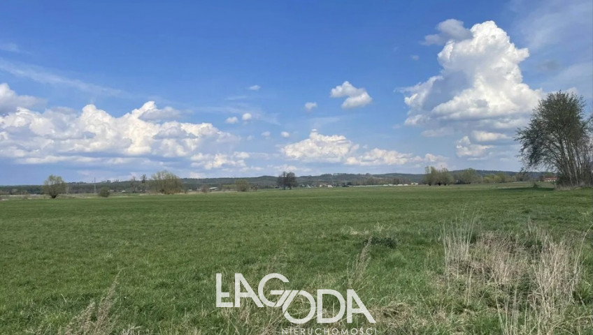 Działka Sprzedaż Pyrzany