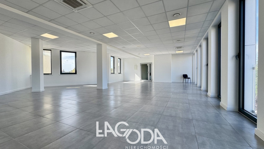 Lokal Wynajem Gorzów Wielkopolski Centrum