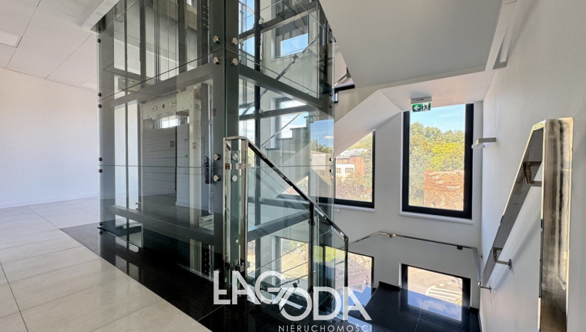 Lokal Wynajem Gorzów Wielkopolski Centrum