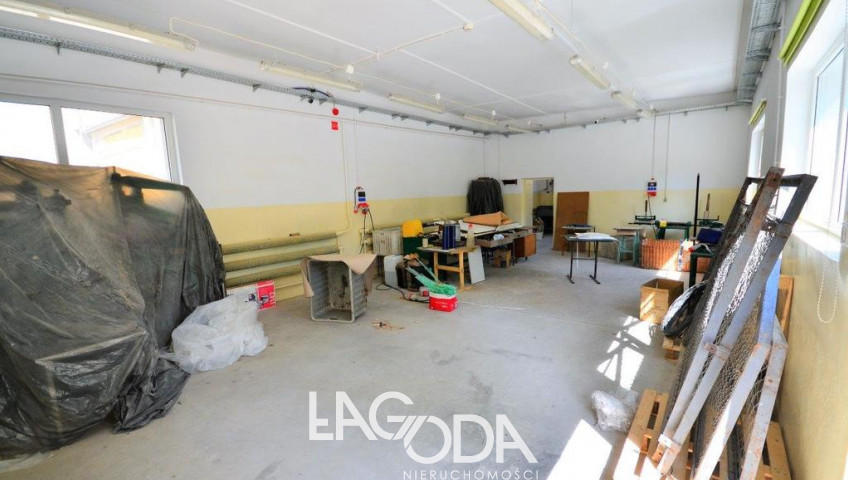 Lokal Wynajem Gorzów Wielkopolski Centrum