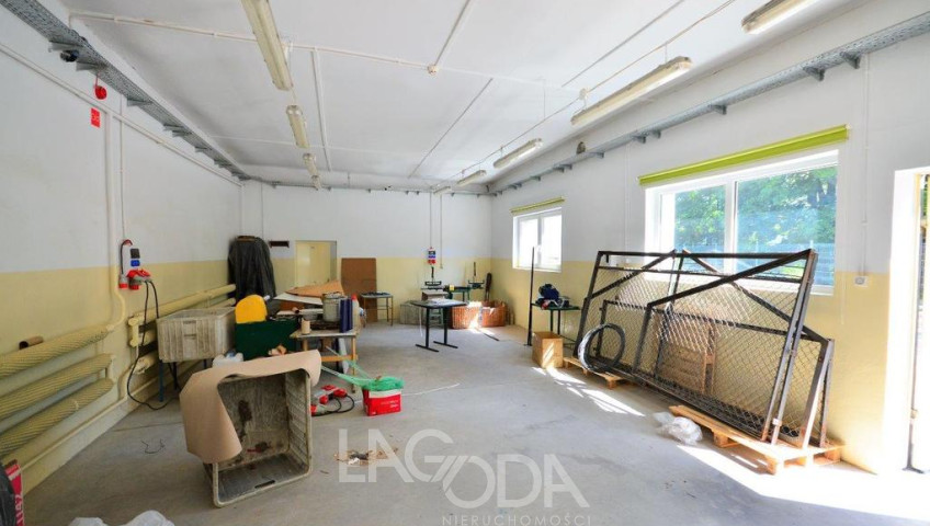 Lokal Wynajem Gorzów Wielkopolski Centrum