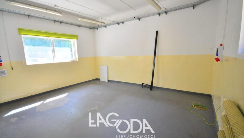 Lokal Wynajem Gorzów Wielkopolski Centrum