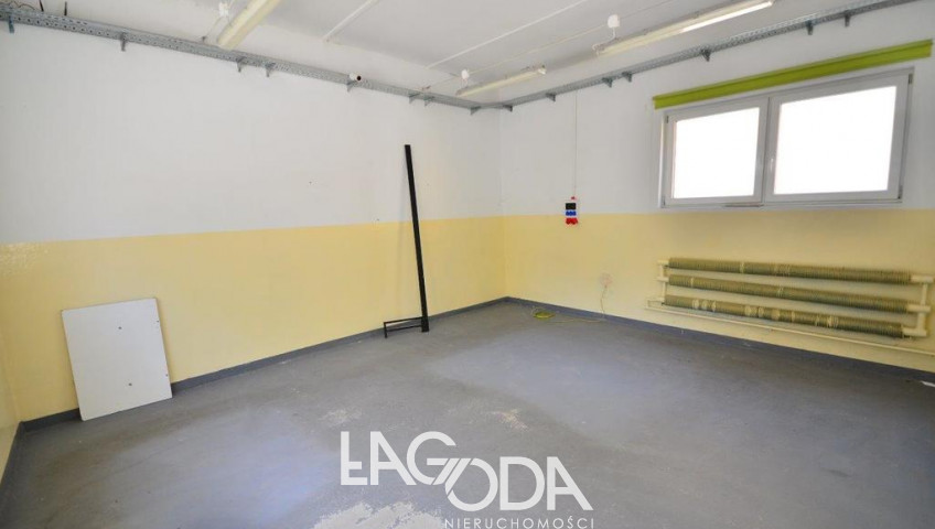 Lokal Wynajem Gorzów Wielkopolski Centrum