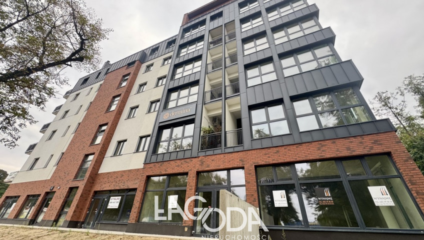 Lokal Wynajem Gorzów Wielkopolski Śródmieście
