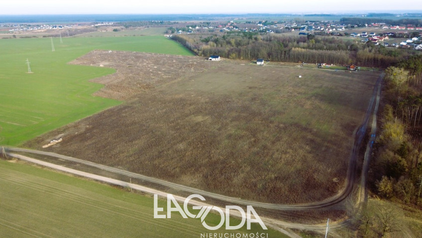 Działka Sprzedaż Janczewo