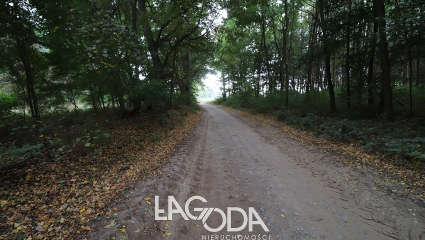 Działka Sprzedaż Mironice
