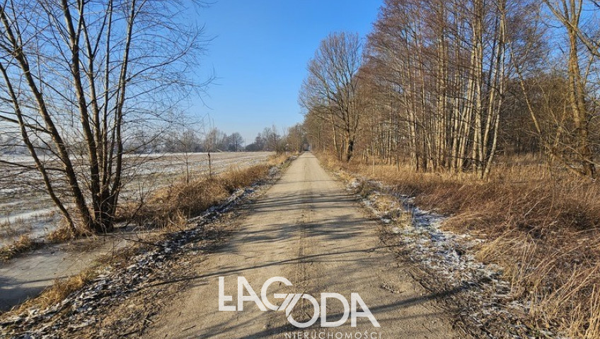 Działka Sprzedaż Ulim Rolna