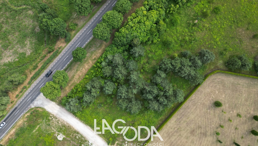 Działka Sprzedaż Różanki