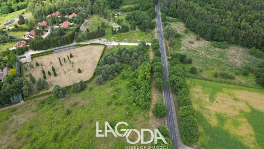 Działka Sprzedaż Różanki