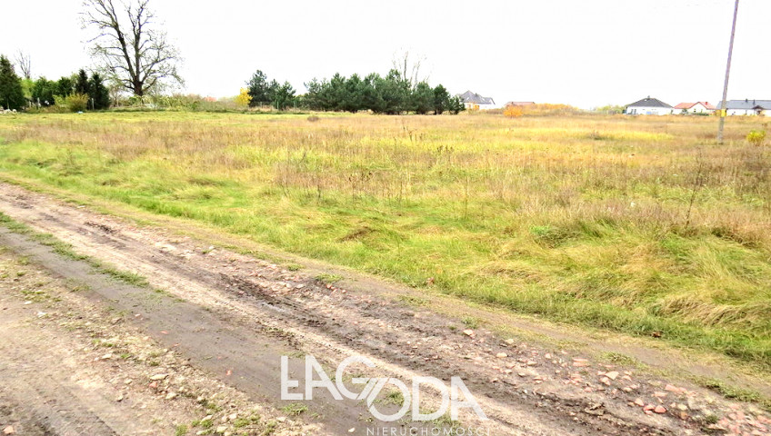 Działka Sprzedaż Prądocin