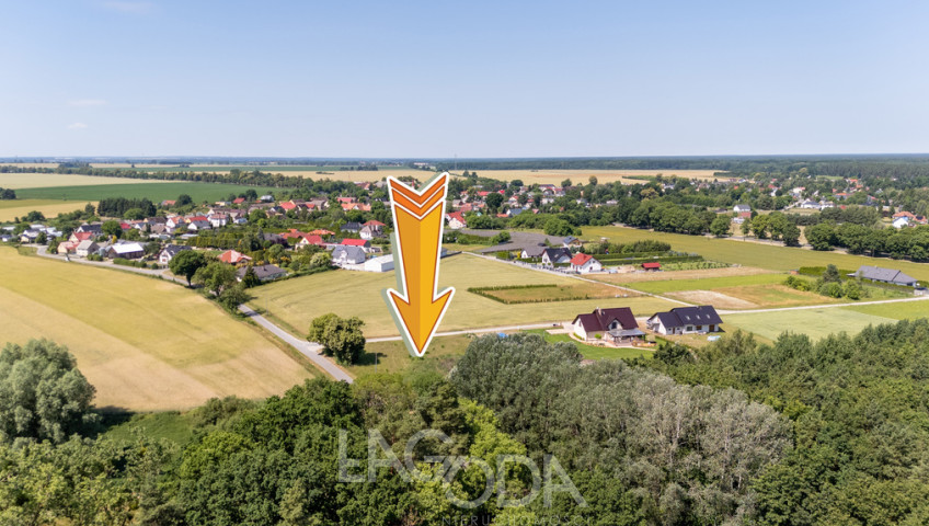 Działka Sprzedaż Różanki