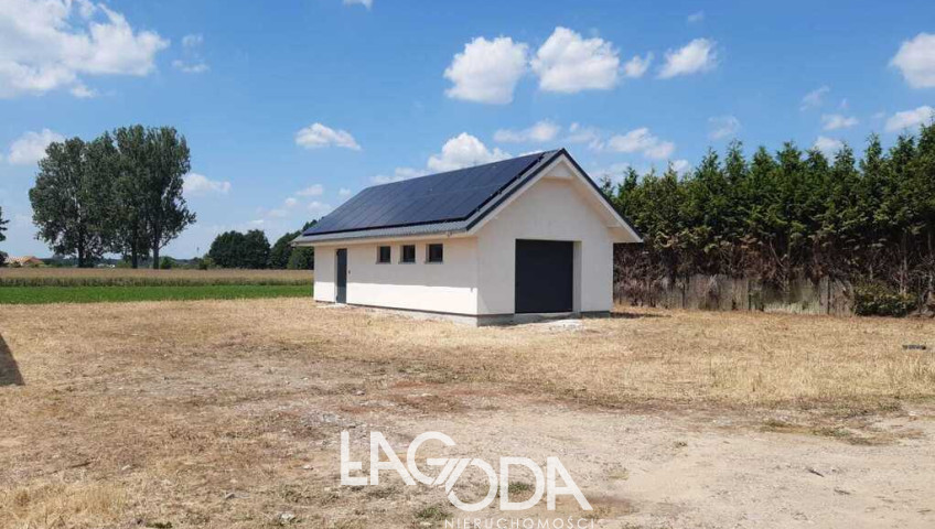Dom Sprzedaż Gorzów Wielkopolski Zieleniec