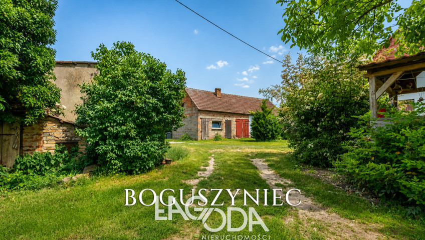 Dom Sprzedaż Boguszyniec