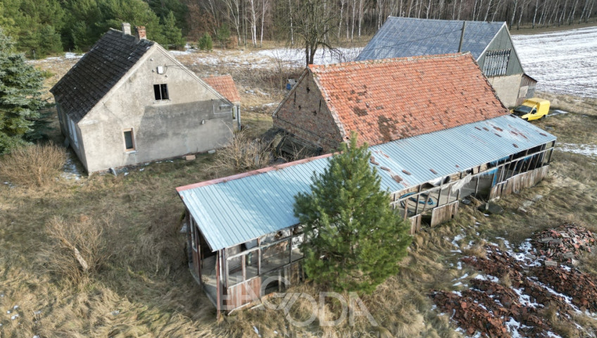 Działka Sprzedaż Kozin