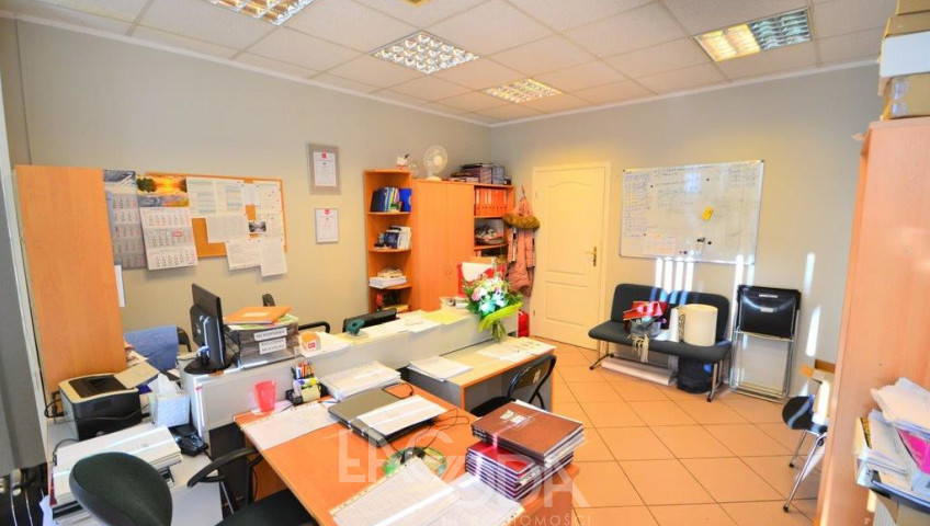 Lokal Wynajem Gorzów Wielkopolski Centrum