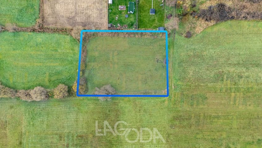 Działka Sprzedaż Bogdaniec Kościelna