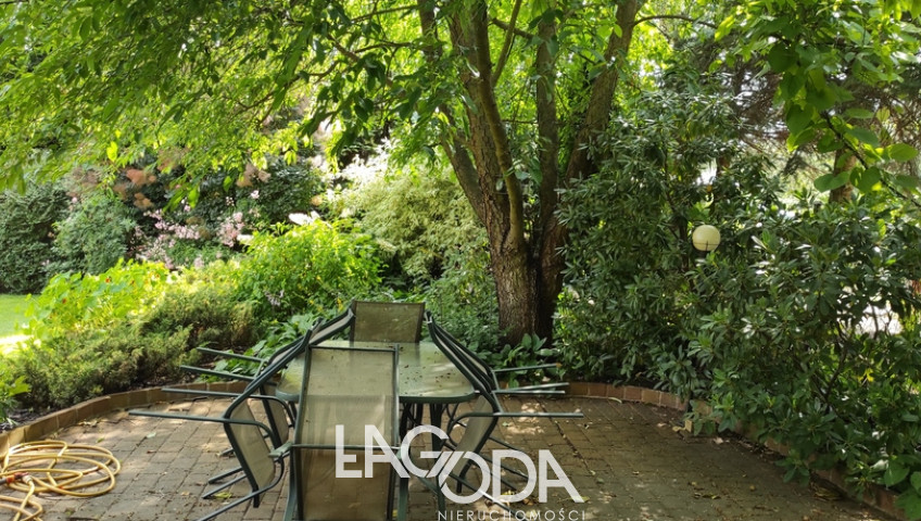 Dom Sprzedaż Gorzów Wielkopolski