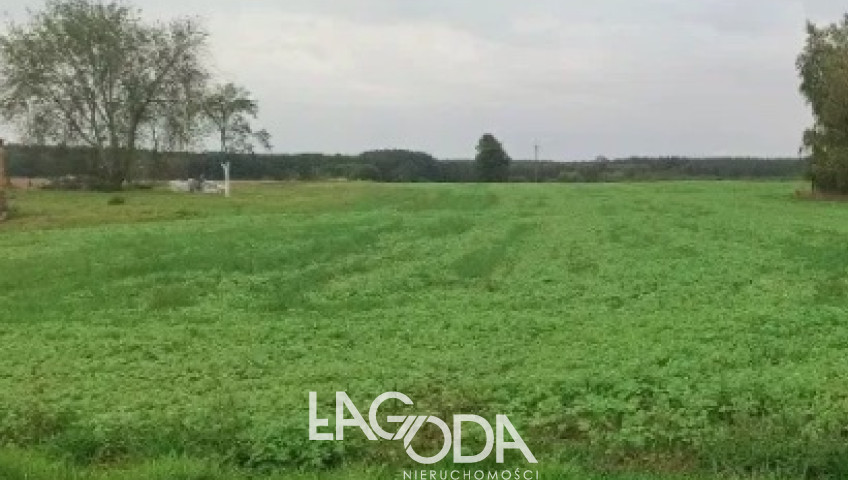 Działka Sprzedaż Ściechów