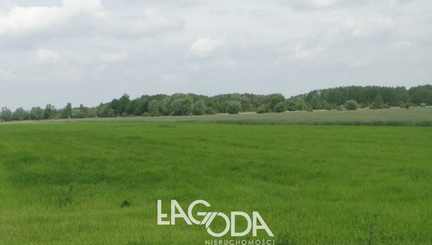 Działka Sprzedaż Ulim