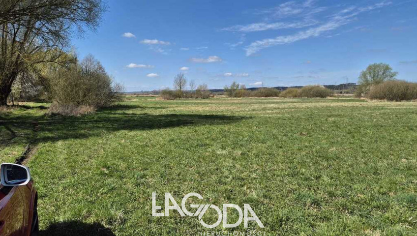 Działka Sprzedaż Wieprzyce