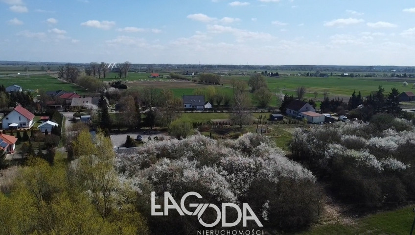 Działka Sprzedaż Wieprzyce