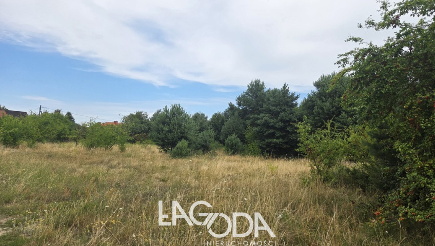 Działka Sprzedaż Santok