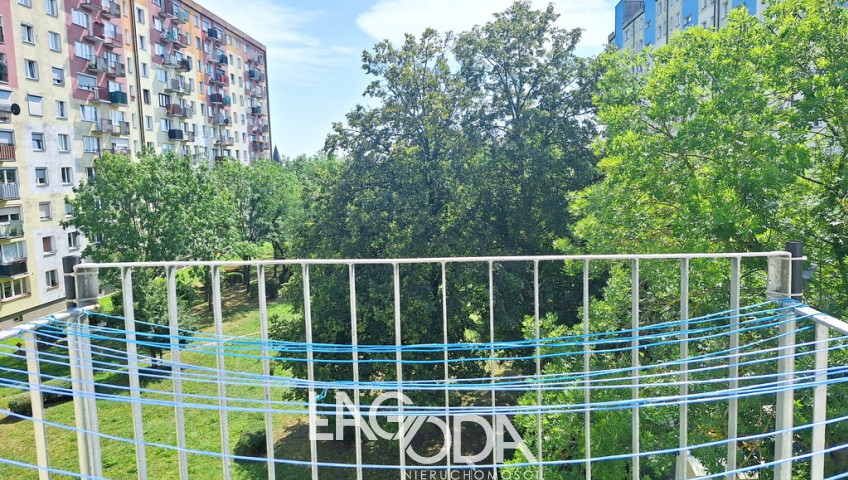Mieszkanie Wynajem Gorzów Wielkopolski os. Staszica