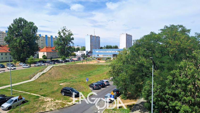 Mieszkanie Wynajem Gorzów Wielkopolski os. Staszica