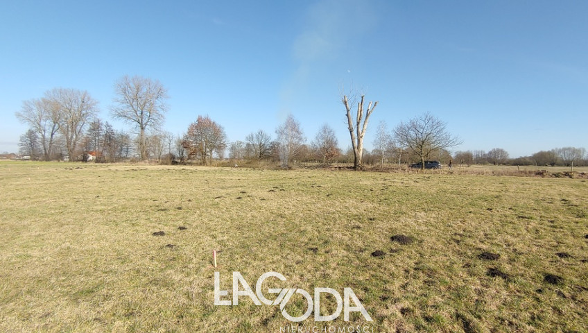 Działka Sprzedaż Bolemin