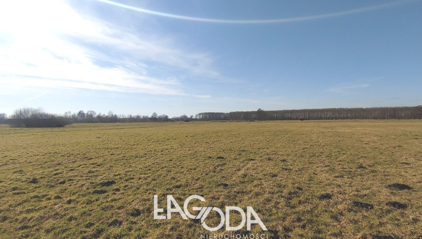 Działka Sprzedaż Bolemin