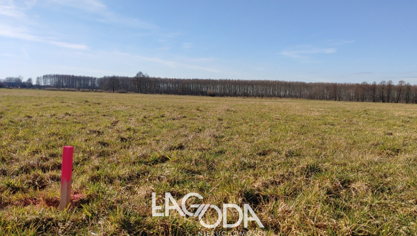 Działka Sprzedaż Bolemin