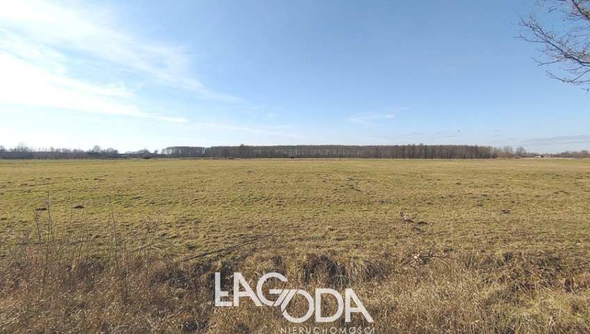 Działka Sprzedaż Bolemin