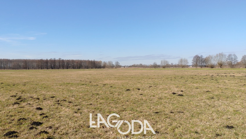 Działka Sprzedaż Bolemin